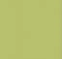 2138 Green