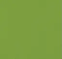 4972 Apple Green