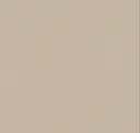 2172 Beige