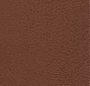 2806 Brown