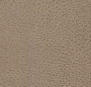 2807 Beige