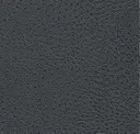 2813 Anthracite