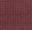 Elderberry