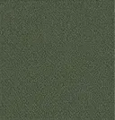 Thyme Green Boucle