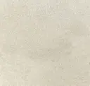 Bone
