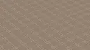 Cardamom - Matte