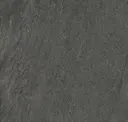 Dark