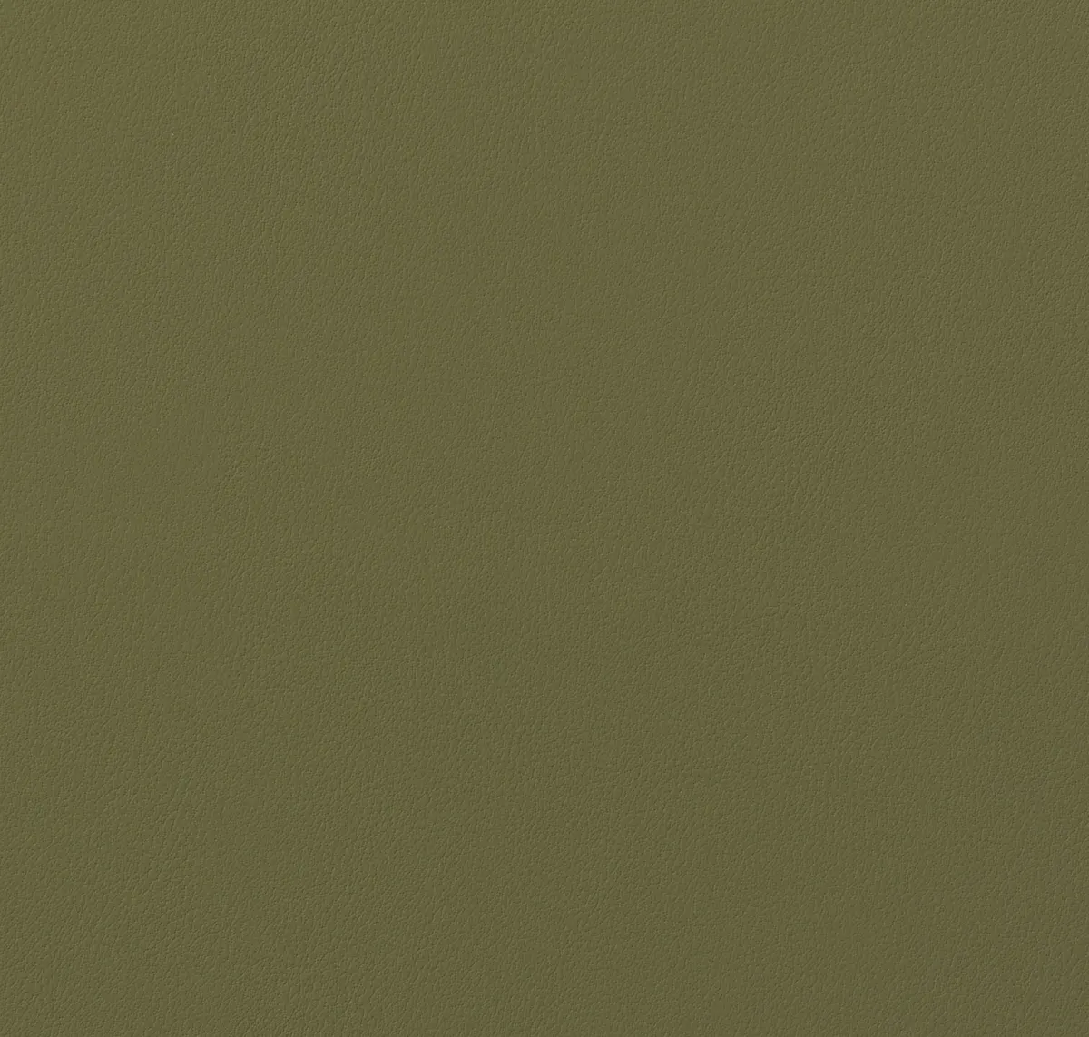Main