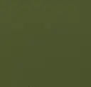 Conifer