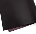 Aubergine