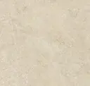 Champagne