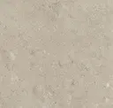 Dove Grey