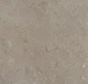 Iron