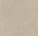 Conchiglia