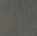 Lichene