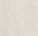 Cotton