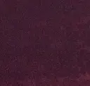 Plum Cobalt