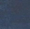 Navy Tangerine
