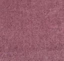 Blizzard Berry