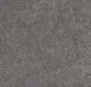 Misty Grey