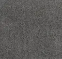 Frosted Charcoal