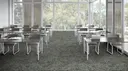 Eucalyptus