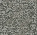Eucalyptus