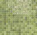 Lichen