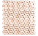 Coral 1