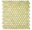 556