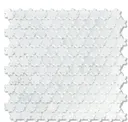 Anemone F01