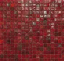 Coral 4
