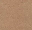 Hazelnut