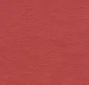 Raid