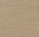 Raffia