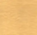 Plains