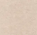Sesame