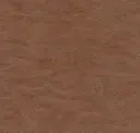 Global