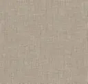 Iron