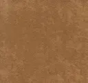 Acorn