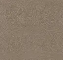 Regularity