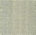Shortfin