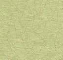 Chlorophyll