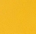 Canary