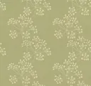 Fennel