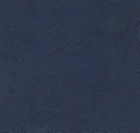 Orca