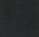 Panther