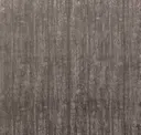Griffin