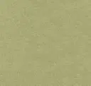 Pistachio