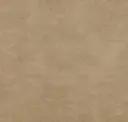 Pebble